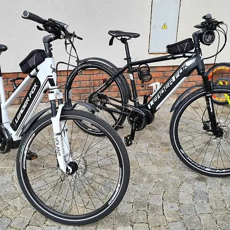 بيت ضيافة Hadlik Velké Pavlovice