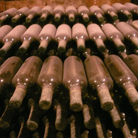 بيت ضيافة Hadlik Velké Pavlovice