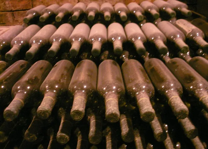 Pensionat Hadlik Velké Pavlovice